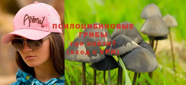mdpv Каменка