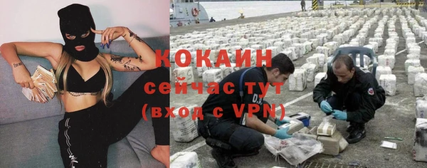 mdpv Каменка