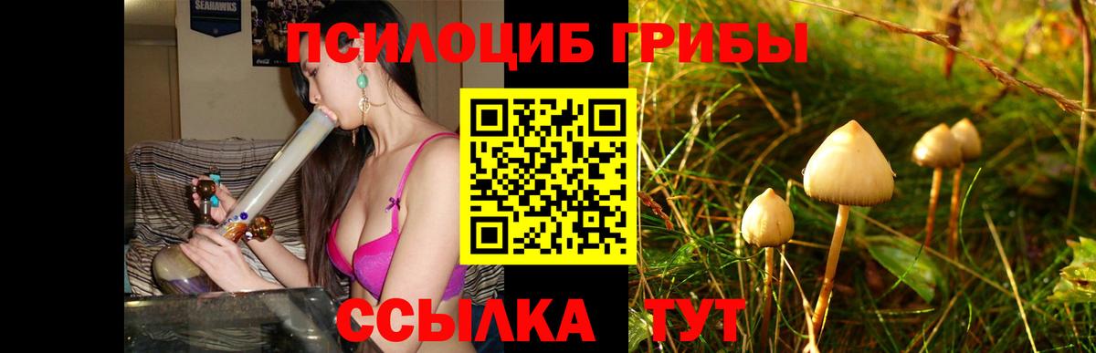 Псилоцибиновые грибы ЛСД  Галлюциногенные грибы мицелий  Вход с VPN  Котовск 